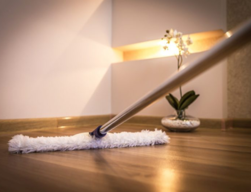 Awakening a sense of beauty