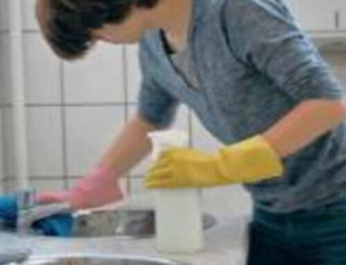 Tagesspiegel – Potsdamer Neueste Nachrichten – Mit Besen Und Wischmop